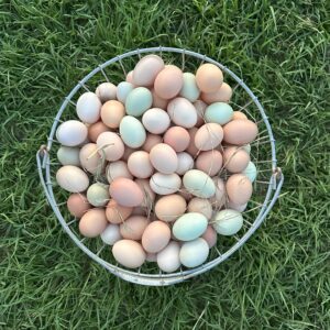 Pastured Eggs